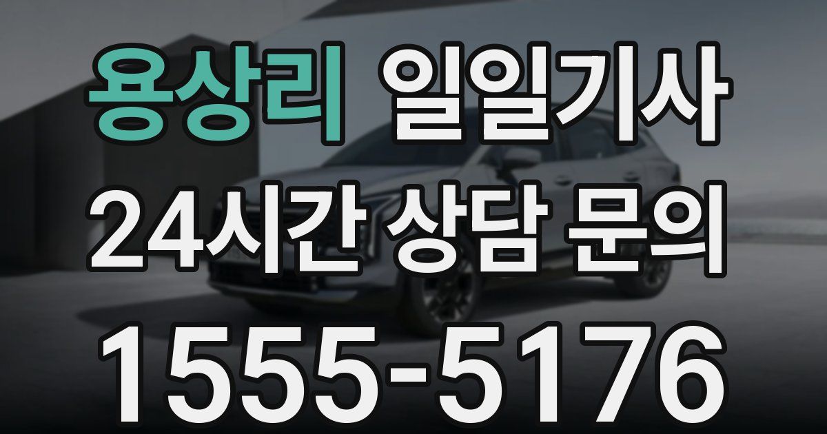 일일대리기사