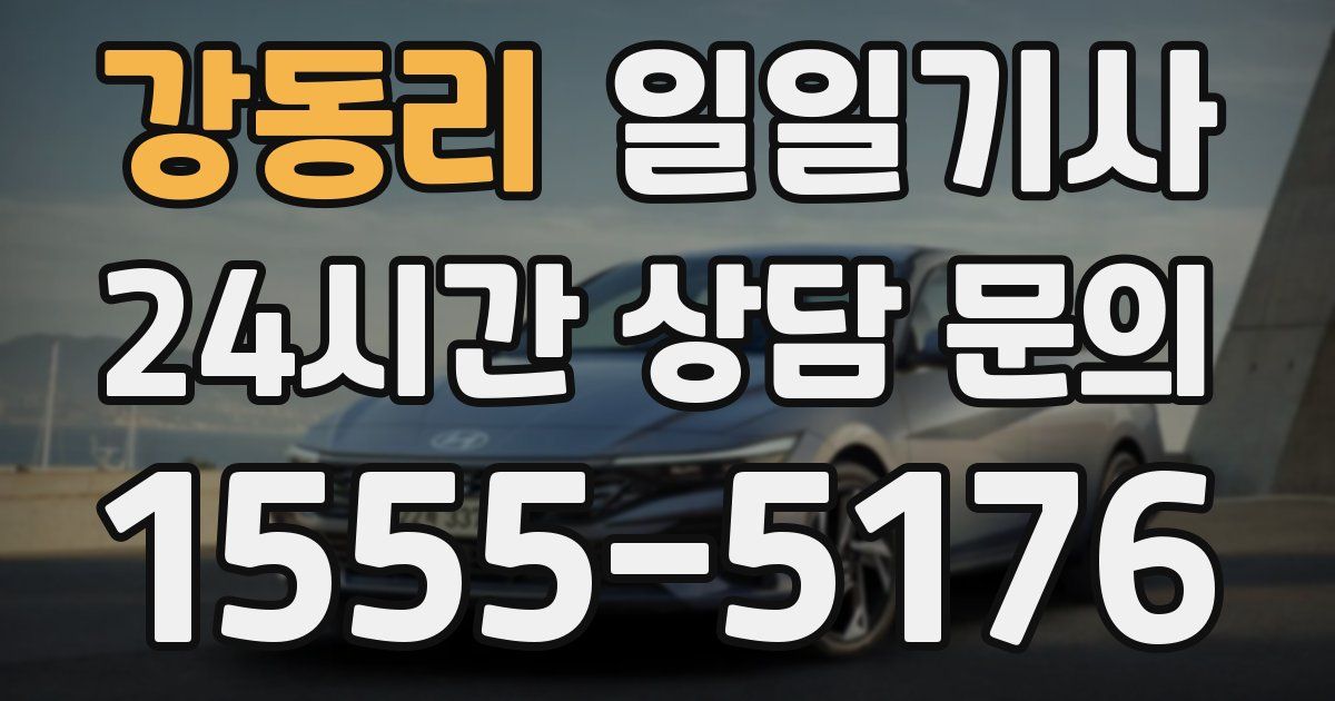 일일대리기사