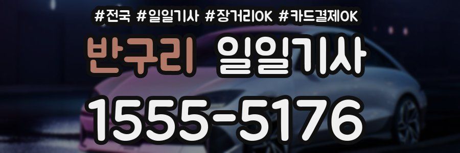 반구리 일일기사