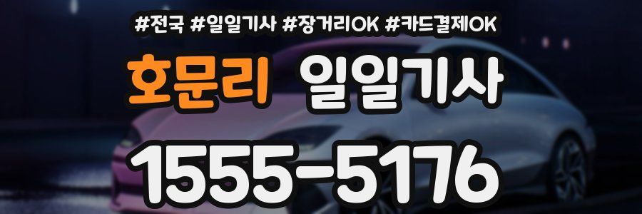 호문리 일일기사