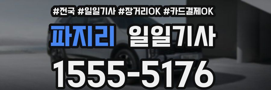 파지리 일일기사