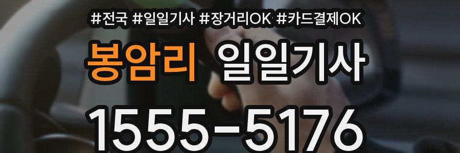 봉암리 일일기사