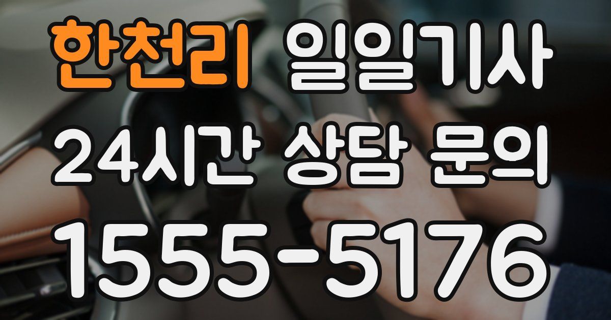 일일대리기사