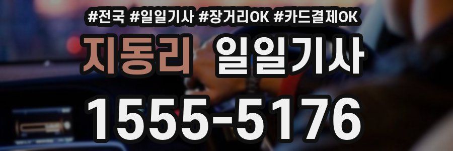 지동리 일일기사