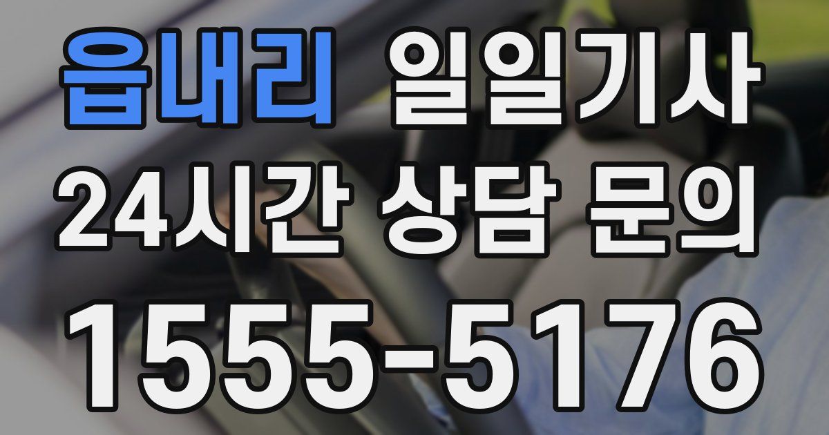일일대리기사