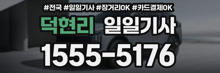 덕현리 일일기사