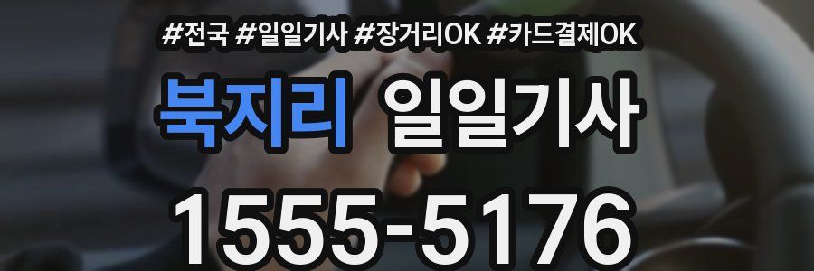 북지리 일일기사