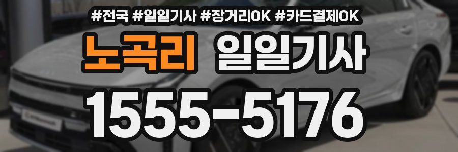 노곡리 일일기사