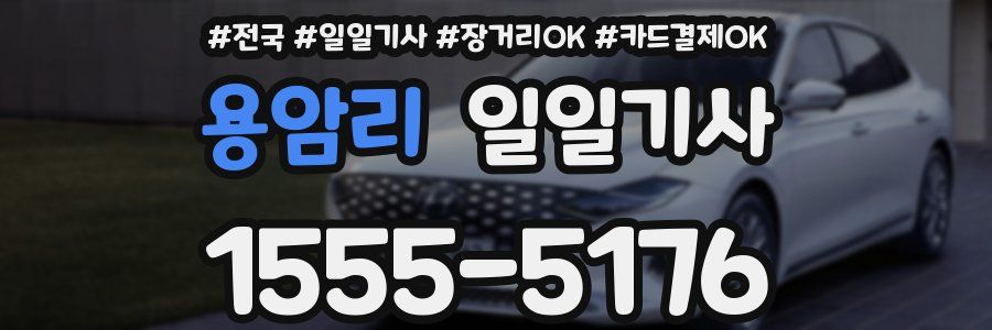 용암리 일일기사