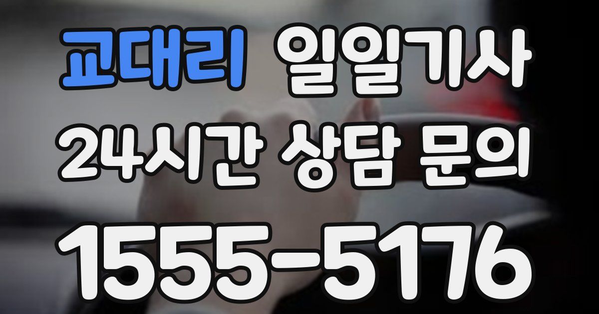 일일대리기사
