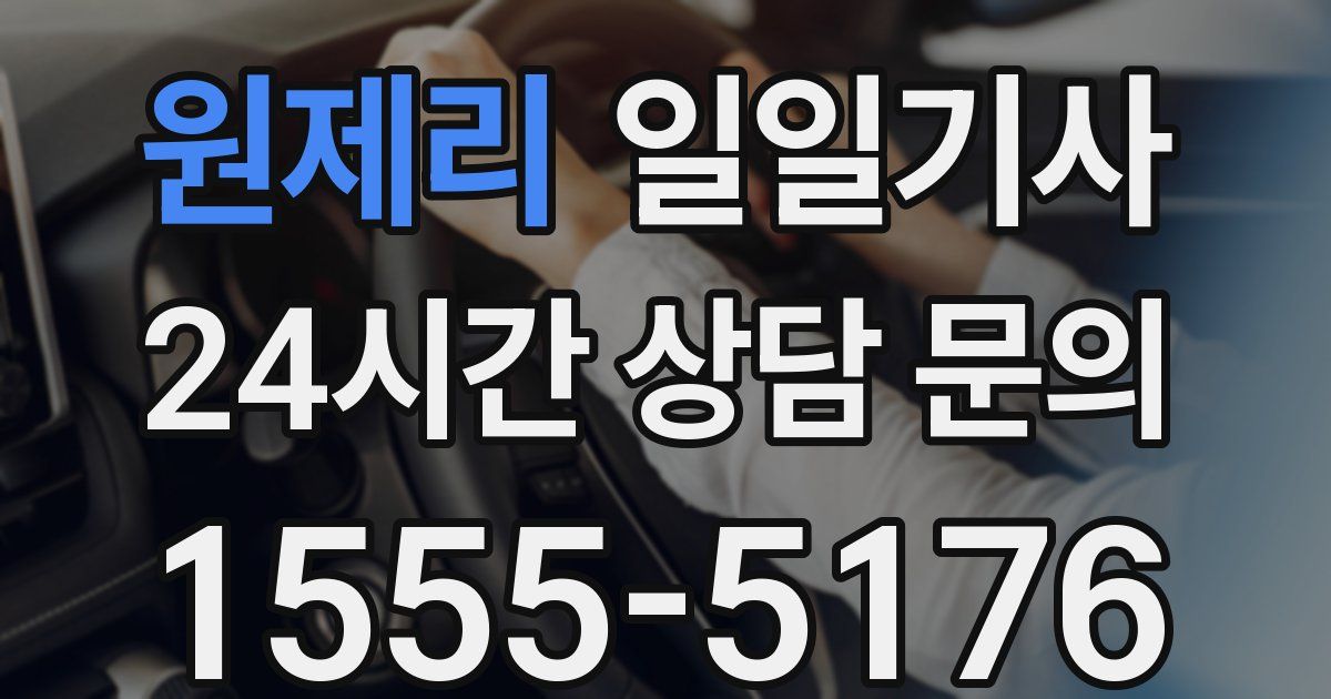 일일대리기사