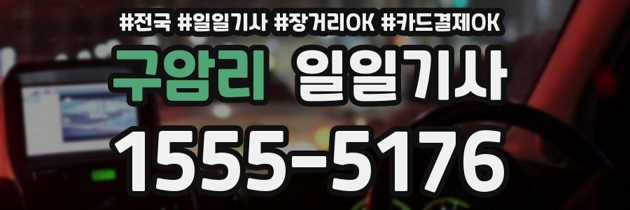 구암리 일일기사