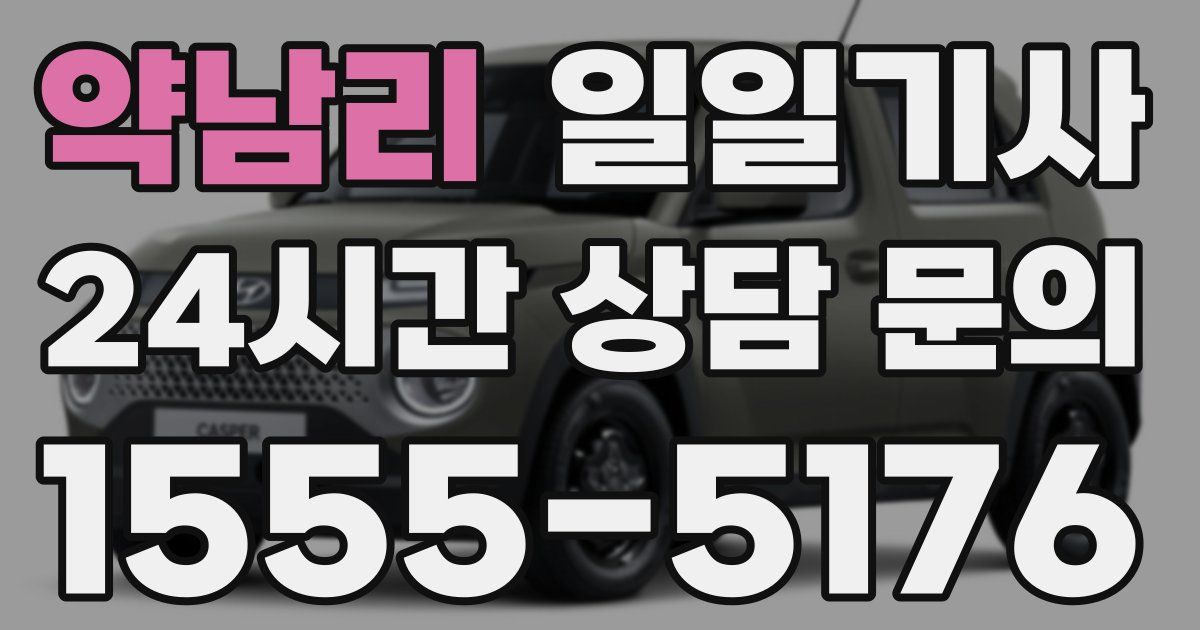 일일대리기사
