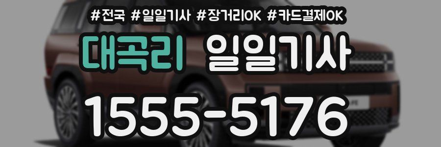 대곡리 일일기사