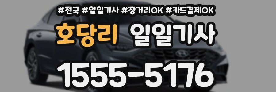 호당리 일일기사