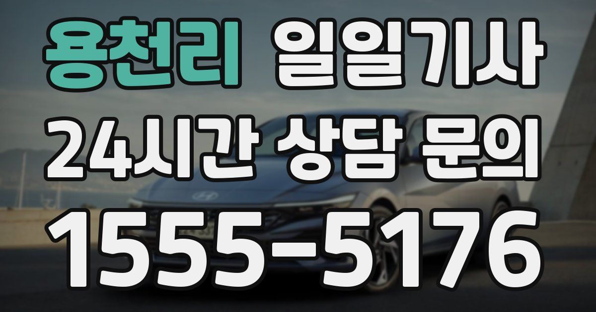일일대리기사