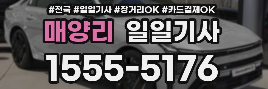 매양리 일일기사