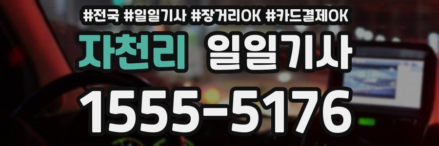 자천리 일일기사