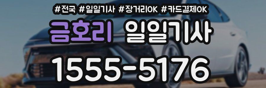 금호리 일일기사