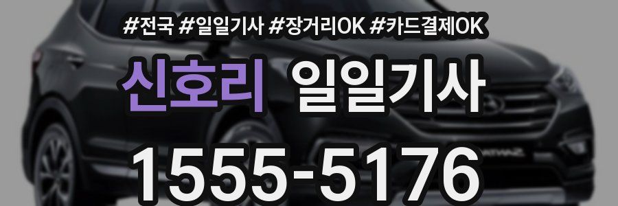 신호리 일일기사