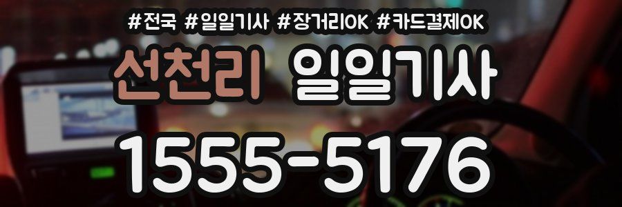 선천리 일일기사