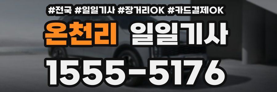 온천리 일일기사