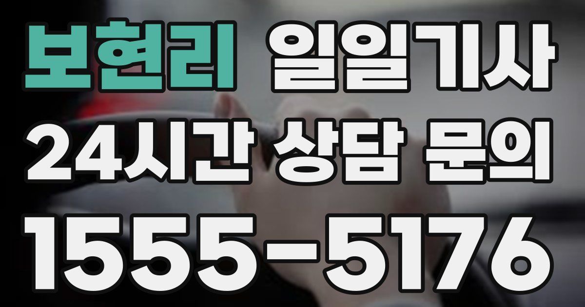 일일대리기사