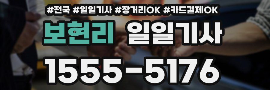 보현리 일일기사