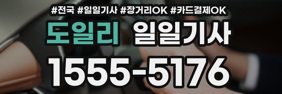 도일리 일일기사