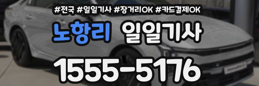 노항리 일일기사