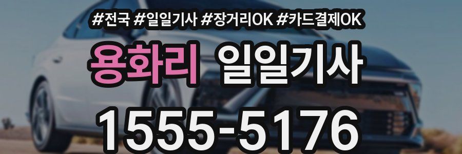 용화리 일일기사