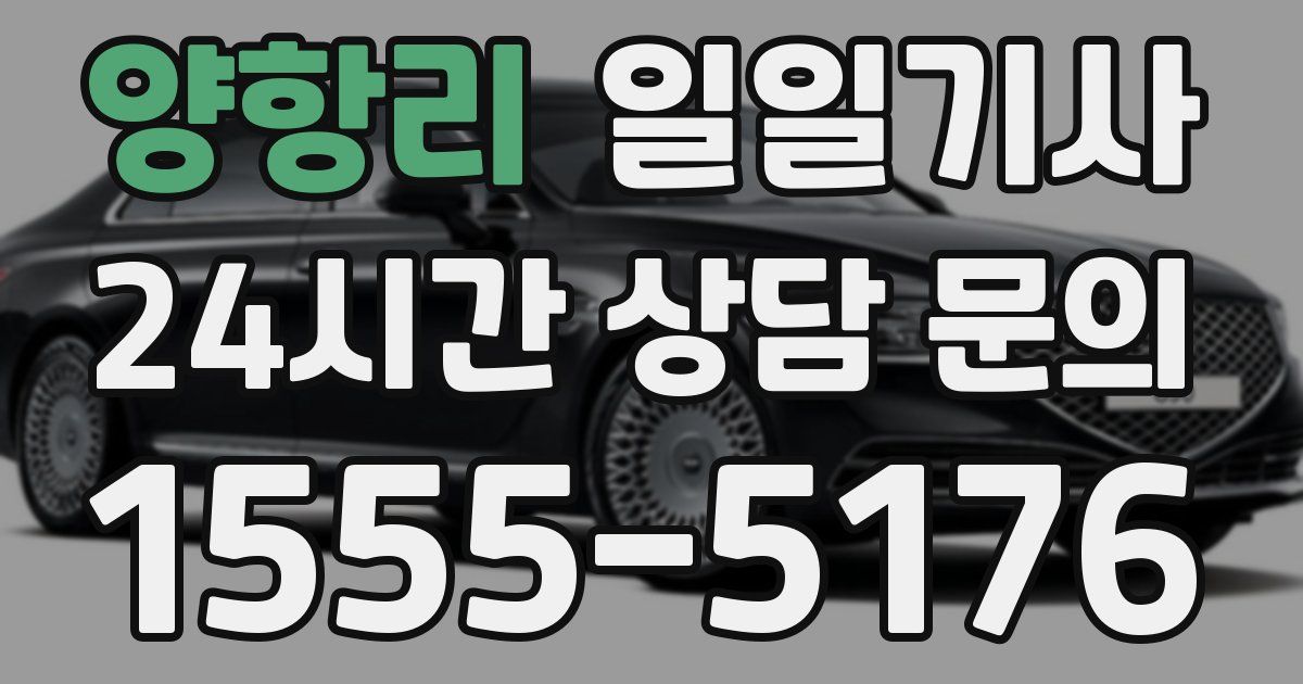 일일대리기사