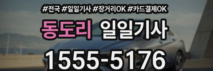 동도리 일일기사