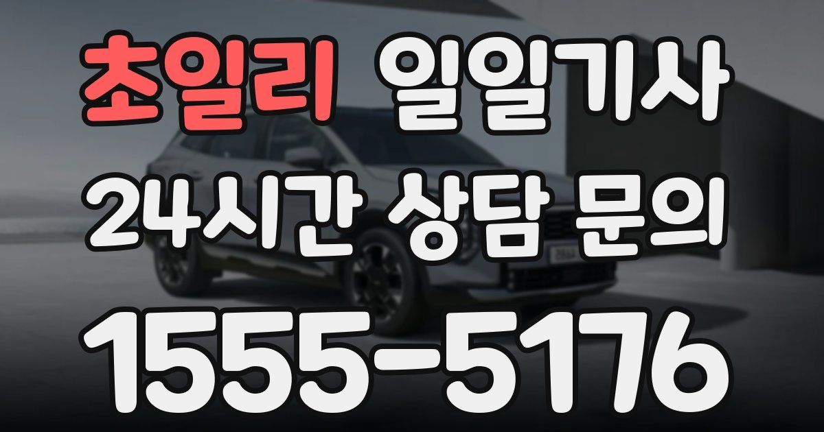 일일대리기사