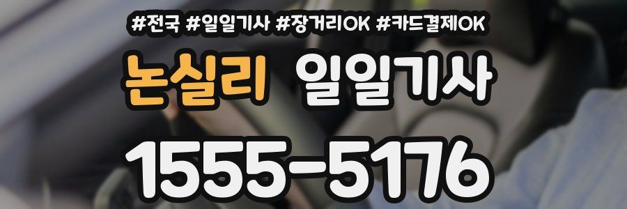논실리 일일기사