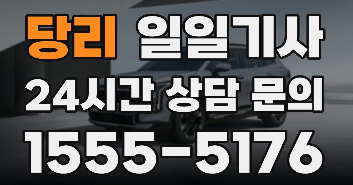 일일대리기사