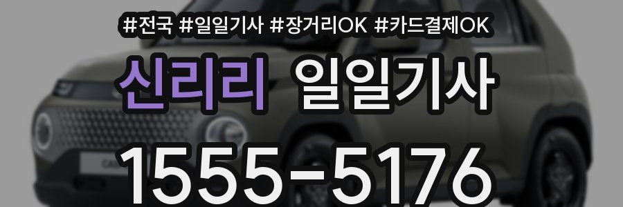 신리리 일일기사