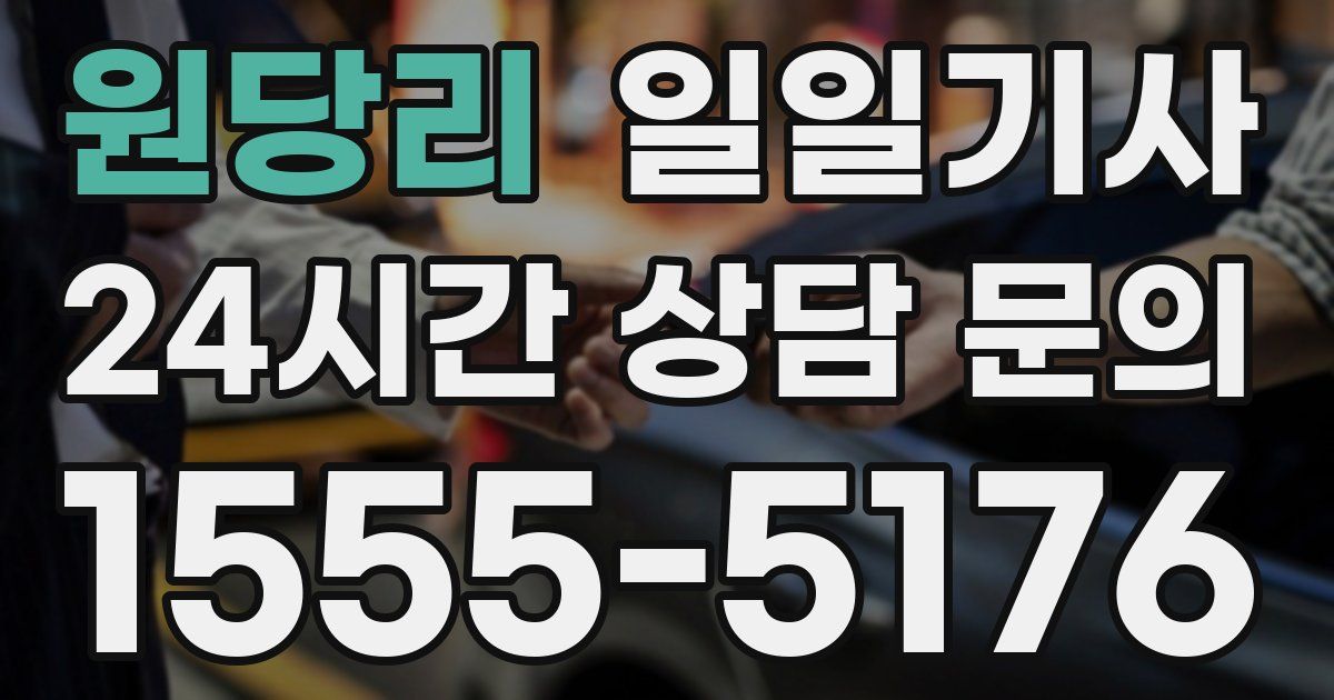 일일대리기사