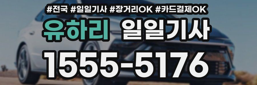 유하리 일일기사