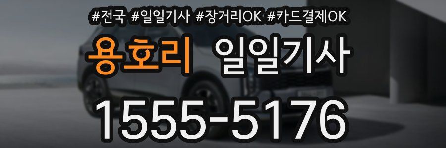 용호리 일일기사