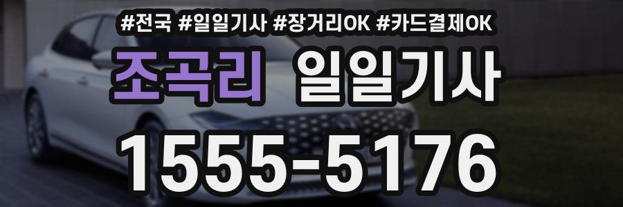 조곡리 일일기사
