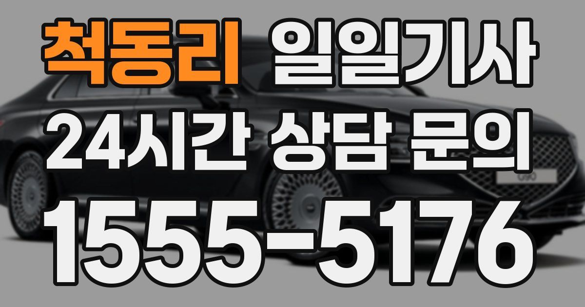일일대리기사