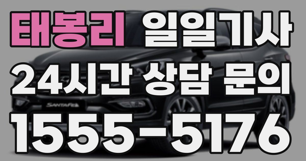 일일대리기사