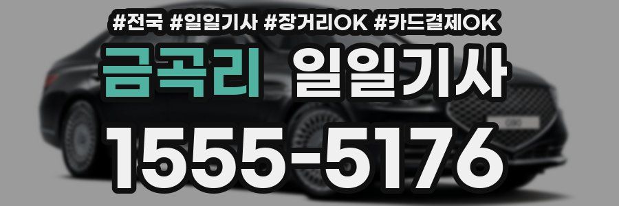 금곡리 일일기사