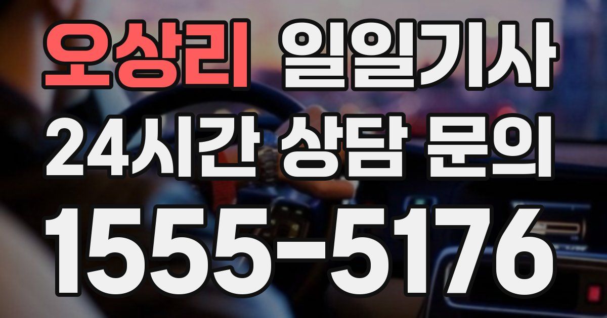 일일대리기사
