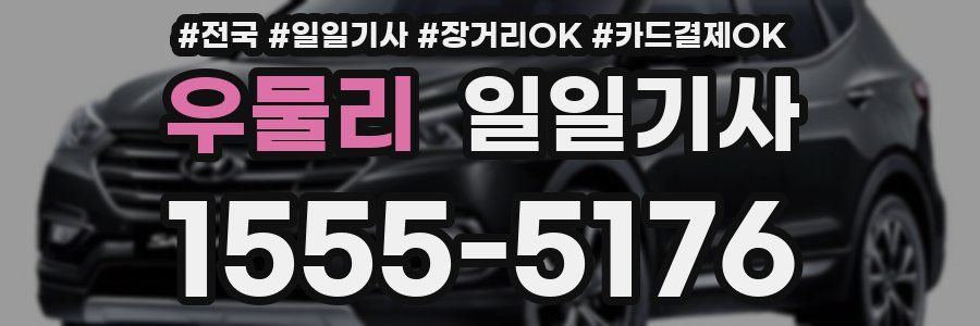 우물리 일일기사