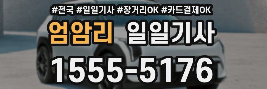 엄암리 일일기사