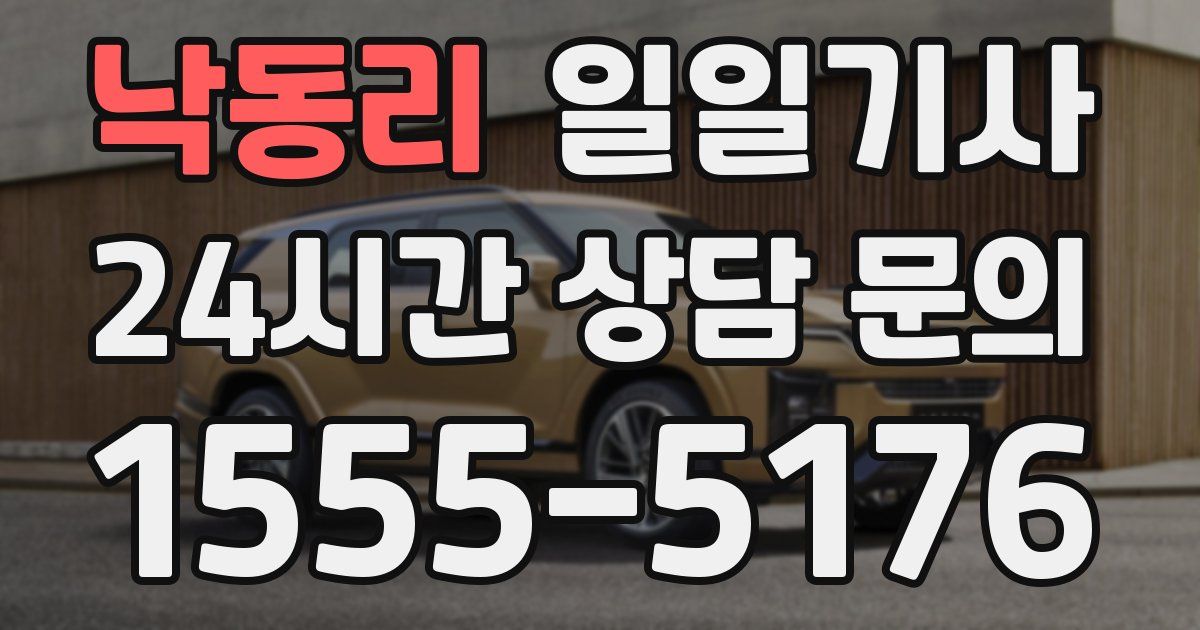 일일대리기사