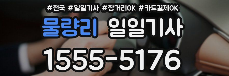 물량리 일일기사