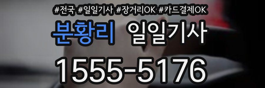 분황리 일일기사